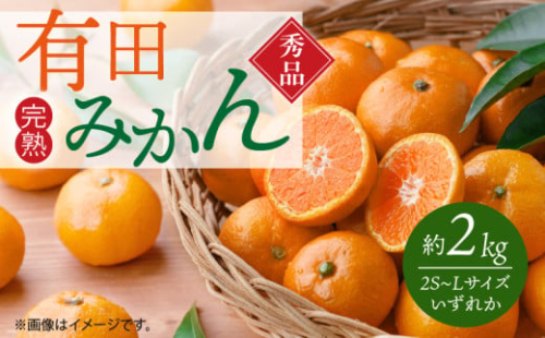 G7343_【2025年 先行予約】秀品 有田みかん 2kg 2S～Lサイズのいずれか 1589662 - 和歌山県湯浅町