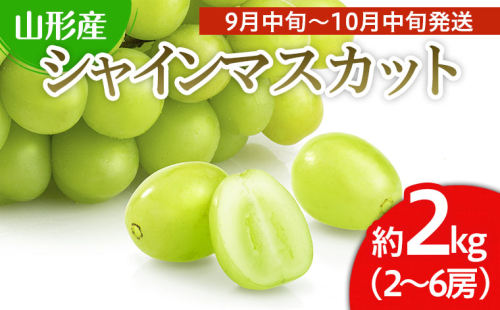 山形市産 シャインマスカット 秀 2kg(2～6房)[前半] 【令和7年産先行予約】FS24-659 159072 - 山形県山形市