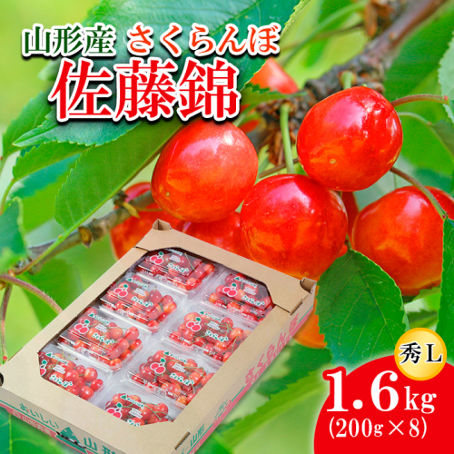 さくらんぼ 佐藤錦 L 1.6kg(200g×8) 【令和7年産先行予約】FU21-817 159081 - 山形県山形市