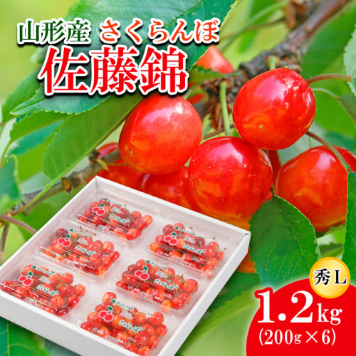 さくらんぼ 佐藤錦 Ｌ(200g×6) 【令和7年産先行予約】FU21-818 159082 - 山形県山形市