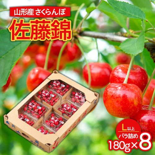 山形市産 さくらんぼ 佐藤錦 L以上 1440g(180g×8パック) バラ詰め 【令和8年産先行予約】FS25-583 159090 - 山形県山形市