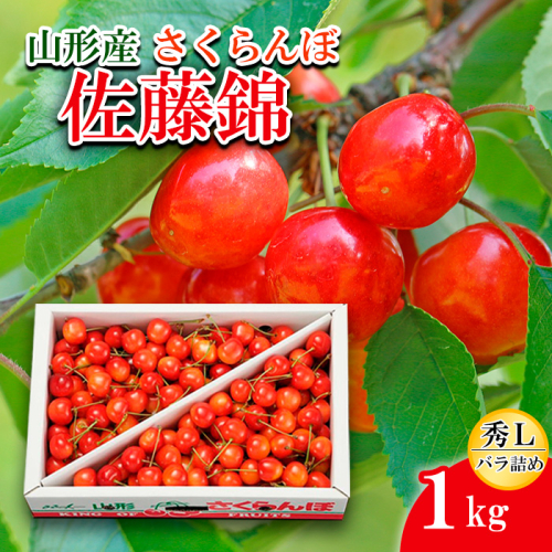 さくらんぼ 佐藤錦 Ｌ1kg バラ詰め 【令和7年産先行予約】FS24-582 159139 - 山形県山形市