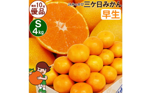 三ケ日みかん 早生【優品】Sサイズ4kg(48個前後) ミカン 果物 くだもの フルーツ 甘い 静岡県 浜松市 果物類 柑橘類 1591494 - 静岡県浜松市