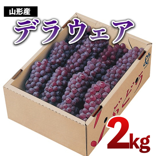 山形市産　デラウェア 2kg(10～12房) 【令和7年産先行予約】FU18-923 159186 - 山形県山形市