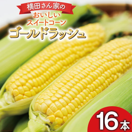【期間限定発送】 とうもろこし 16本 横田さん家の美味しいスイートコーン ゴールドラッシュ [横田農園 長崎県 雲仙市 item2208] コーン トウモロコシ 野菜 1592611 - 長崎県雲仙市