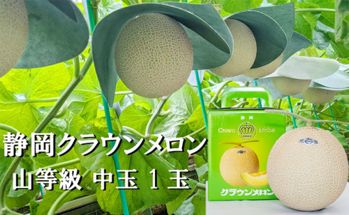 クラウンメロン【上（山等級）】中玉（1.3kg前後）1玉入り 人気 厳選 ギフト 贈り物 デザート グルメ 果物 袋井市 果物類 メロン青肉 フルーツ  159886 - 静岡県袋井市