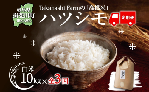 定期便 全3回 米 令和7年 ハツシモ  高橋米 10kg 1袋 お米 精米 白米 ごはん ご飯 はつしも あっさり ふっくら ブランド米 10キロ お取り寄せ 産地直送 送料無料 高橋ファーム Takahashi Farm 岐阜県 揖斐川町 1602602 - 岐阜県揖斐川町