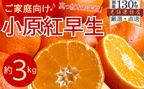 ご家庭向け!真っ赤なお蜜柑「小原紅早生」 約3kg 1619327 - 香川県綾川町
