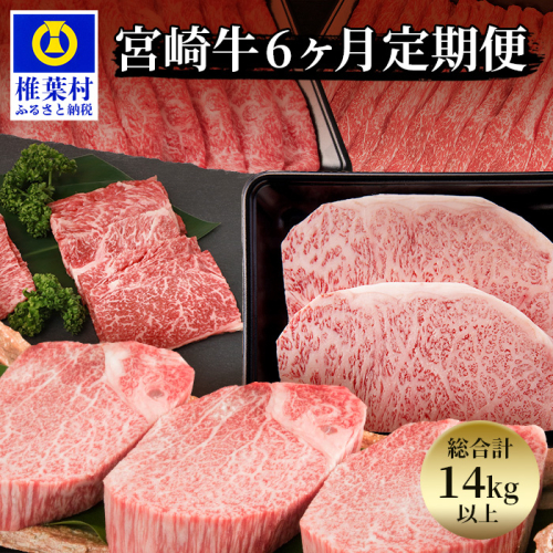 【定期便 6回】受賞歴多数!! 宮崎牛【牛肉の王様 King(キング)のバラエティ定期便】【ヒレステーキ・ロースステーキ・肩ローススライス・ウデスライス・モモ焼肉】 162188 - 宮崎県椎葉村