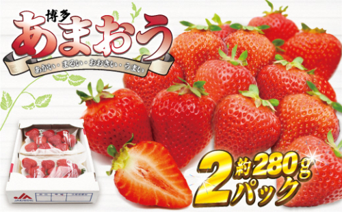 【2026年3月下旬より順次発送】博多あまおう2パック　約560g[G2211a] 162502 - 福岡県福津市