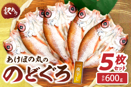 【訳あり数量限定】あけぼの丸ののどぐろ一夜干し5枚セット合計600ｇ 魚介 のどぐろ 一夜干し 訳あり【146_2017】 1626193 - 島根県浜田市