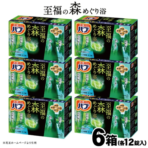 SA2221　花王バブ 至福の森めぐり浴　12錠入×6箱 162643 - 山形県酒田市