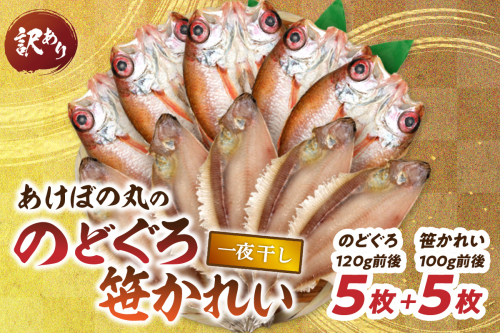 【訳あり数量限定】あけぼの丸ののどぐろ・笹かれい一夜干しセット 魚介 のどぐろ 笹かれい 一夜干しセット ５枚 セット【146_2019】 1626441 - 島根県浜田市