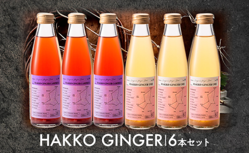 仁木産 グレープと梅を使ったジンジャービア 6本セット（各200ml×3本ずつ ） 北海道 キャンベル ウメ ジンジャー 飲料 ドリンク [株式会社デリシャスフロム北海道] 1637741 - 北海道仁木町