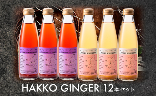 仁木産 グレープと梅を使ったジンジャービア 12本セット（各200ml×6本ずつ ） 北海道 キャンベル ウメ ジンジャー 飲料 ドリンク [株式会社デリシャスフロム北海道] 1637742 - 北海道仁木町
