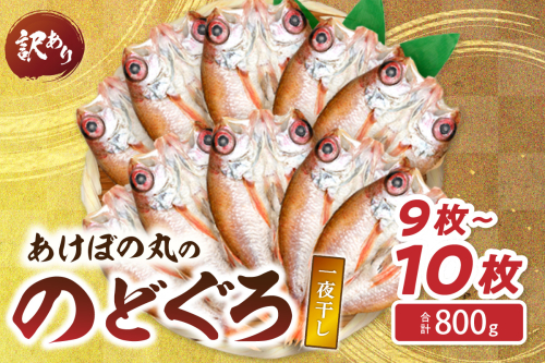 【訳あり数量限定】あけぼの丸ののどぐろ一夜干し800ｇ（9～10枚）魚介 のどぐろ 一夜干し 訳あり 【146_2018】 1637778 - 島根県浜田市