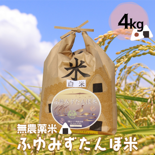 (03535)宮城県大崎市田尻産 無農薬米「ふゆみずたんぼ米」4kg【2024年産】 1641036 - 宮城県大崎市