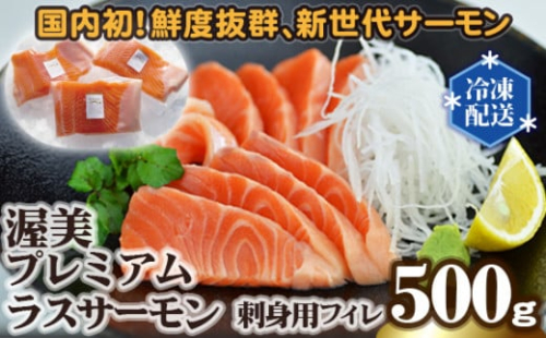 渥美プレミアムラスサーモン刺身用　約500g / 国産 サーモン 刺身 鮭 鱒 さけ お刺身 カルパッチョ ムニエル サラダ 魚 ブランド魚 魚貝 魚介類 魚介 小分け サーモン 真空 真空パック 養殖 新鮮 刺身 愛知県 特産品 産地直送 田原市 渥美半島