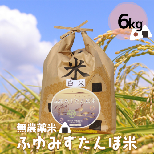 (03536)宮城県大崎市田尻産 無農薬米「ふゆみずたんぼ米」6kg【2024年産】 1641270 - 宮城県大崎市