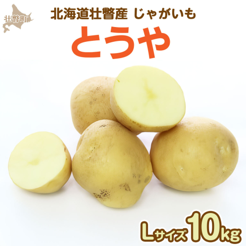 <2025年9月下旬よりお届け>北海道壮瞥町産じゃがいも(とうや)Lサイズ10kg SBTN005 1643377 - 北海道壮瞥町