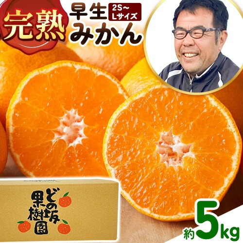 ＜先行予約＞ 早生 みかん 約5kg (2S～Lサイズ) どの坂果樹園《12月上旬-1月末頃出荷》 和歌山県 日高町 みかん 早生 旬 柑橘 フルーツ 果物 蜜柑 ミカン 先行予約 1643514 - 和歌山県日高町