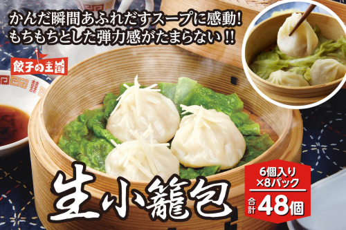 【順次発送】 八代市東陽町の生姜を使った 餃子の王国 生小籠包 48個 164617 - 熊本県八代市