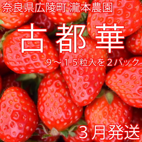 【数量限定】【先行受付】瀧本農園の古都華（2026年3月発送）//苺 いちご イチゴ フルーツ 旬の// 164664 - 奈良県広陵町