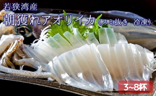 朝どれ アオリイカ 3～8杯 スミ抜き 冷凍 若狭湾産 朝どれ魚 イカ 烏賊 いか 冷凍イカ 海鮮 福井 福井県 若狭町 164859 - 福井県若狭町