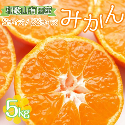 【ご家庭用】和歌山有田みかん約5kg(SS、Sサイズ) 〇｜ みかん ミカン mikan 有田みかん s ss 5kg 柑橘 温州ミカン 温州みかん 先行予約 ※北海道・沖縄・離島への配送不可 ※2025年11月上旬～2026年1月下旬頃に順次発送予定 164970 - 和歌山県美浜町