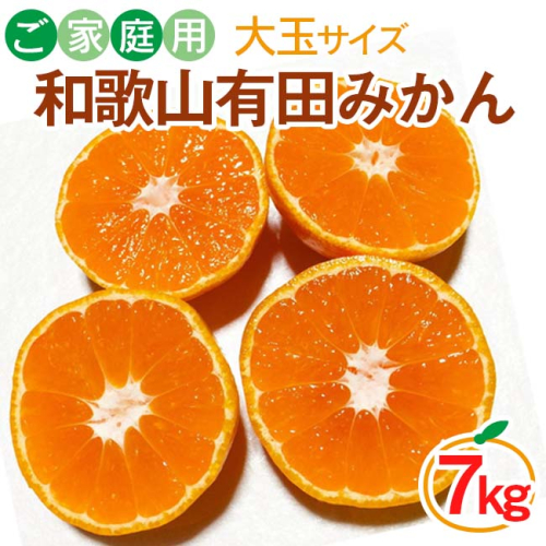 【ご家庭用】和歌山有田みかん約7kg(2L、3Lサイズ)〇 ※北海道・沖縄・離島への配送不可 ※2025年11月上旬~2026年1月下旬頃に順次発送予定 164975 - 和歌山県美浜町