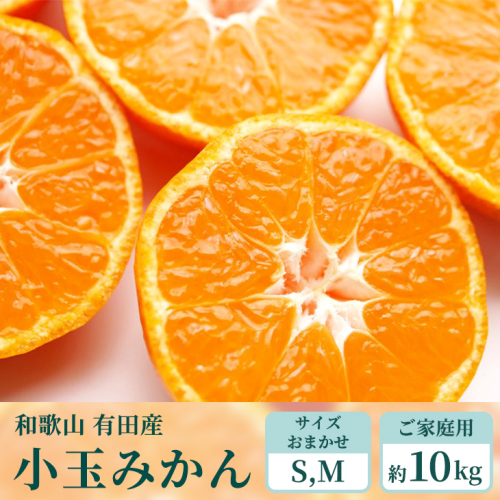 【ご家庭用】和歌山有田みかん約10kg(S、Mサイズ)【美浜町】〇 ※北海道・沖縄・離島への配送不可 ※2025年11月上旬～2026年1月下旬頃に順次発送予定 164997 - 和歌山県美浜町