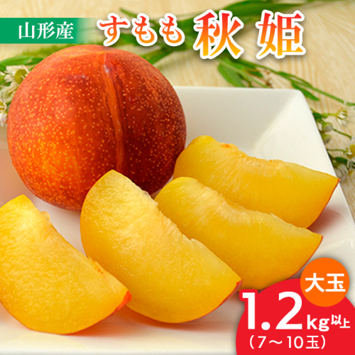 山形のすもも[秋姫]大玉 1.2kg以上(7～10玉) 【令和7年産先行予約】FU22-800 165609 - 山形県山形市