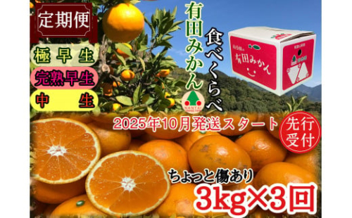 定期便 先行受付2025年 10月発送スタート ちょっと 傷あり 3kg × 3回 コース 有田みかん 食べくらべ 3種 南泰園 1681307 - 和歌山県有田川町