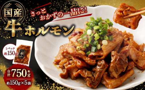 国産牛ホルモン 750g（150g×5袋） ｜ 牛 ホルモン 特製ダレ 国産 味付 おかず おつまみ お肉 冷凍 静岡県 菊川市 1687452 - 静岡県菊川市