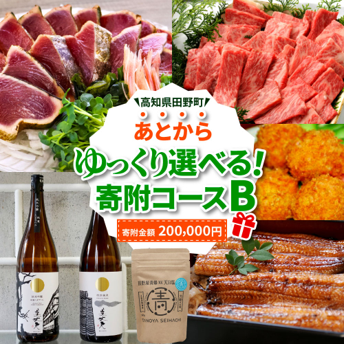返礼品は後からゆっくり選べる寄附コース★B★ あとから選べる おすすめ 人気 カツオ カツオのたたき うなぎ 鰻 肉 酒 塩 魚 魚介 カタログ 200000円 1688726 - 高知県田野町
