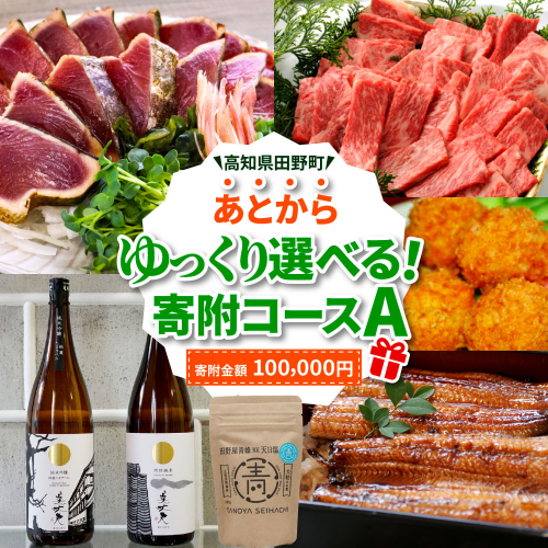 返礼品は後からゆっくり選べる寄附コース★A★ あとから選べる おすすめ 人気 カツオ カツオのたたき うなぎ 鰻 肉 酒 塩 魚 魚介 カタログ 100000円 1688729 - 高知県田野町
