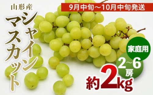 【ご家庭用】山形のシャインマスカット 優品 約2kg(2～6房)[9月中旬～10月中旬発送] 【令和7年産先行予約】FS24-578 170546 - 山形県山形市