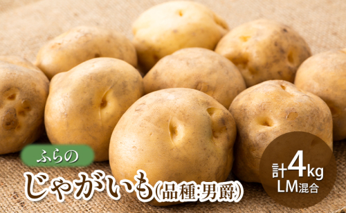 【2025年秋発送】ふらの じゃがいも(品種:男爵) 計4kg LM混合 北海道 富良野市 野菜 新鮮 直送 じゃがいも 男爵 道産 ふらの 送料無料 数量限定 先着順 1709019 - 北海道富良野市