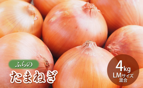 【2025年秋発送】ふらの たまねぎ 4kg LMサイズ混合 北海道 富良野市 野菜 新鮮 直送 玉ねぎ 道産 ふらの 送料無料 数量限定 先着順 1709029 - 北海道富良野市