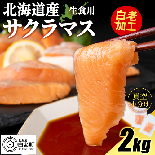 北海道産 サクラマス ロイン 2kg 生食可〈小田切水産〉 桜鱒 さくらます 北海道 1711909 - 北海道白老町