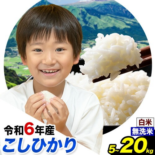 令和6年産 無洗米 も 選べる こしひかり 白米 or 無洗米 選べる精米方法 内容量 5kg 10kg 15kg 20kg 白米 精米 無洗米 熊本県産(南阿蘇村産含む) 単一原料米 南阿蘇村《7-14日以内に出荷予定(土日祝除く)》 1714192 - 熊本県南阿蘇村
