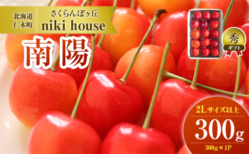  [先行受付] さくらんぼ 南陽 2Lサイズ 以上 300g（300g×1パック） 化粧箱入   サクランボ チェリー フルーツ 果物 果物類 ギフト 贈答品 北海道 仁木町 仁木 [小林信幸] 1723357 - 北海道仁木町