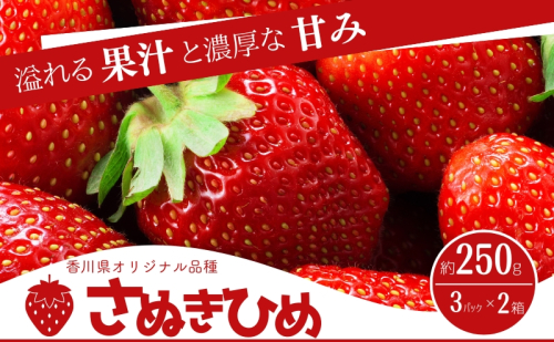 香川県オリジナル品種! ご家庭用さぬきひめ苺 6パック 1723360 - 香川県東かがわ市