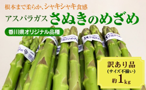 アスパラガス【さぬきのめざめ】訳あり品 約1kg 1723362 - 香川県東かがわ市