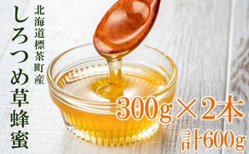 標茶産しろつめ草の蜂蜜 300g×2本 1723662 - 北海道標茶町