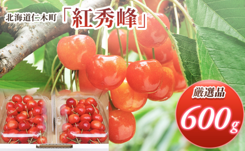 北海道 仁木町産 厳選品 さくらんぼ 紅秀峰 600g(300g×2パック) Lサイズ以上  旬 桜桃 産地直送 サクランボ チェリー フルーツ 果物 果物類 ギフト 仁木町 仁木 [松山商店] 172576 - 北海道仁木町