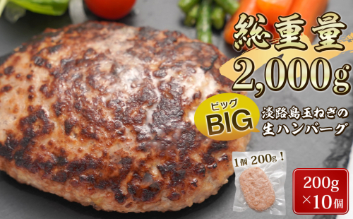 淡路島たまねぎのびっくり旨みハンバーグ 200g×10個　[ハンバーグ ハンバーグ ハンバーグ ハンバーグ ハンバーグ] 172604 - 兵庫県淡路市