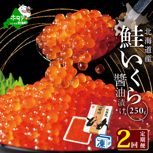 計500g【250g×1パック 2回 お届け】 2ヵ月 定期便 漁協 直送！本場「北海道」 いくら 醤油漬け【NKM02NQ07】（野付漁業協同組合）( いくら いくら醤油漬け いくら醤油漬 醤油いくら 鮭いくら 国産いくら 北海道産いくら 地場産いくら 道産いくら 別海町 ふるさと納税 ふるさと ikura ) 172848 - 北海道別海町