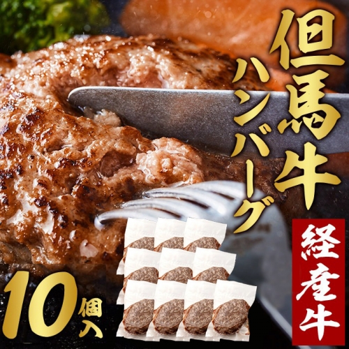 020AA09N.但馬牛 経産牛 ハンバーグ（150g×10個） 172896 - 兵庫県市川町