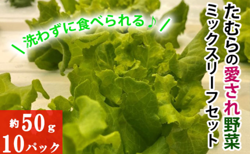 洗わずに食べられる!たむらの愛され野菜 ミックスリーフセット 10個 サラダ野菜 172900 - 群馬県東吾妻町